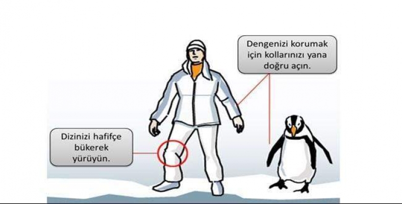 Penguen yürüyüşü karda düşmekten koruyor…