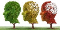 Demans ve Alzheimer Arasındaki Farklar Nelerdir?