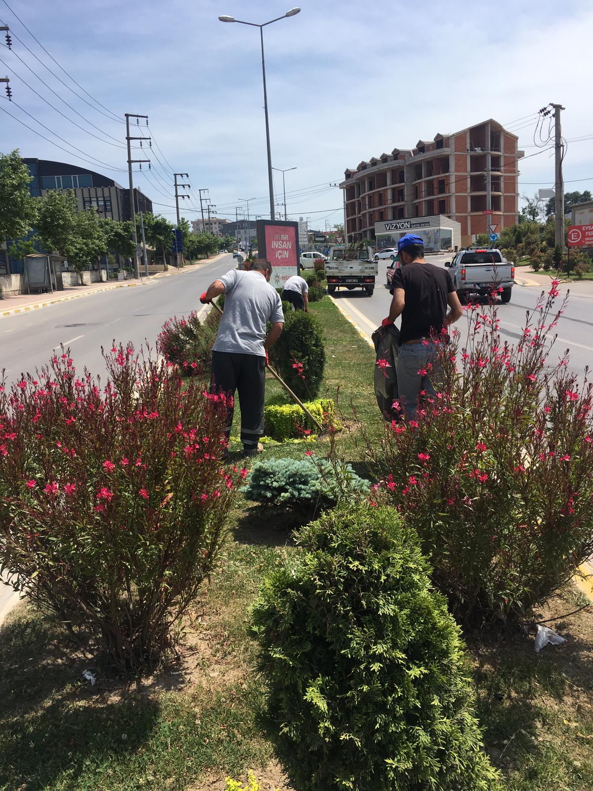 Darıca'da Peyzaj Çalışması