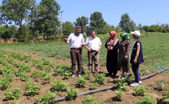 150 Çiftçiye yüzde 50 Hibeli Destek!