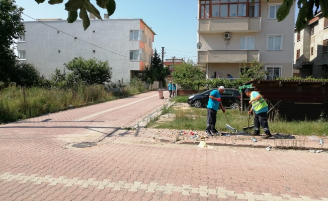 Daha temiz bir Darıca için ekip kuruldu