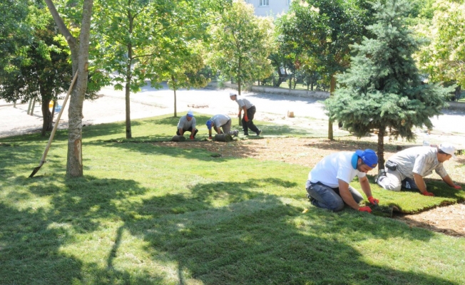 Darıca'da Parklar Yenileniyor