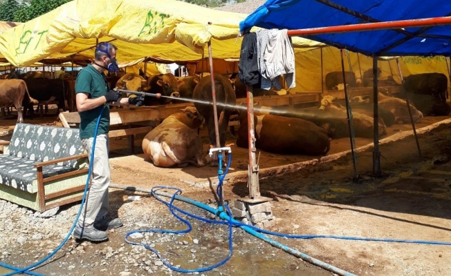 Kurban satış yerleri ilaçlandı