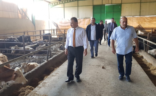 Büyükşehir'den Gebzeli çiftçilere 800 bin TL'lik destek