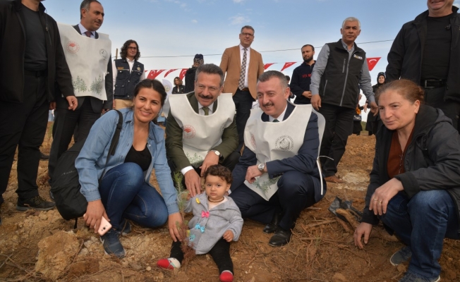 Gebze'de binlerce fidan toprakla buluştu