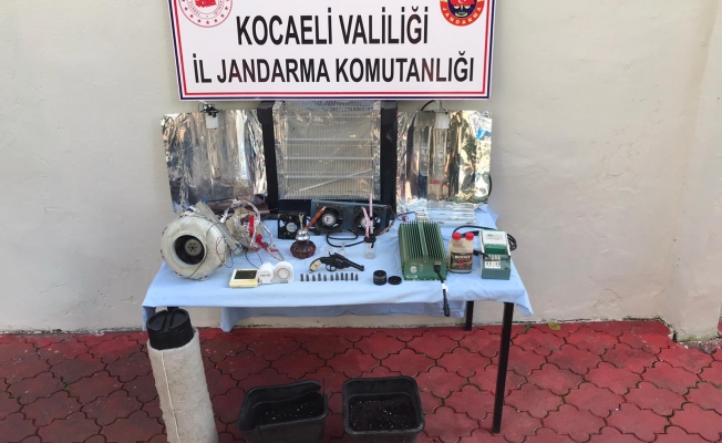 Jandarma'dan uyuşturucu operasyonu!