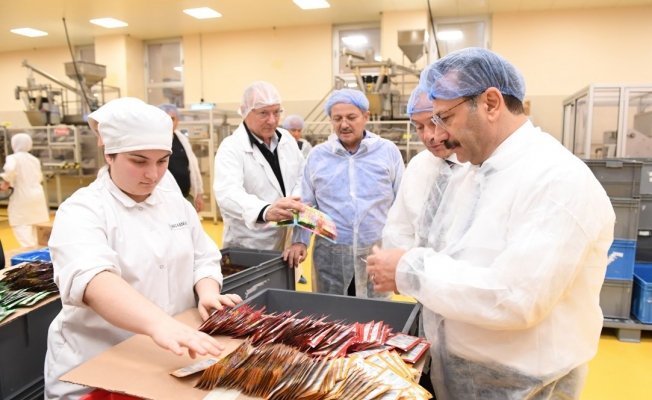 Vali Aksoy, HLEKS Gıda'yı ziyaret etti