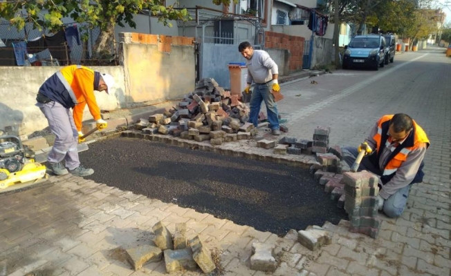 Darıca'da asfalt hamlesi