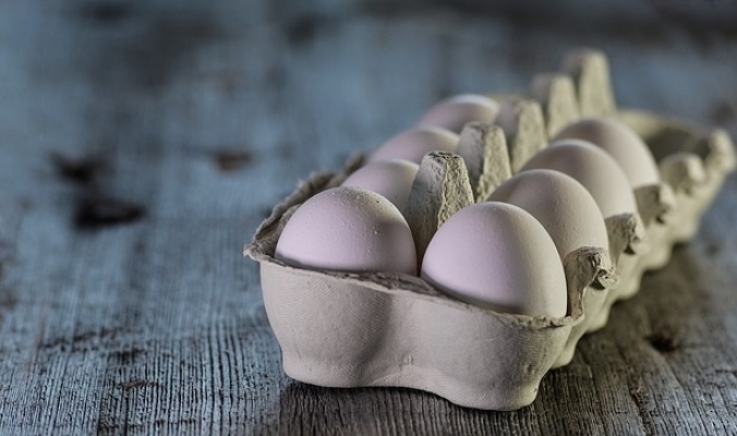 Tavuk Yumurtası Üretimi Arttı