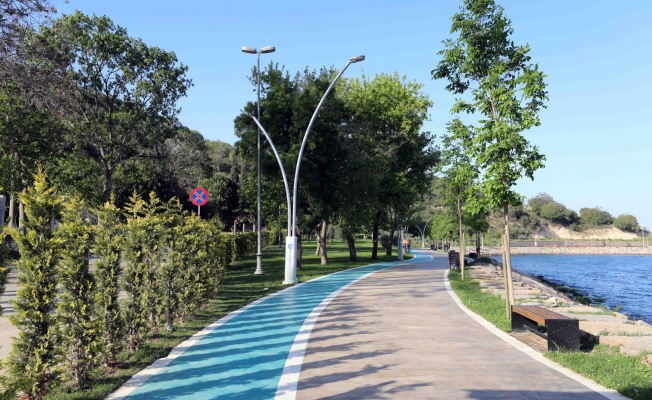 Darıca Sahil Parkı'na 50 bin çeşitli cinste  fidan ekildi