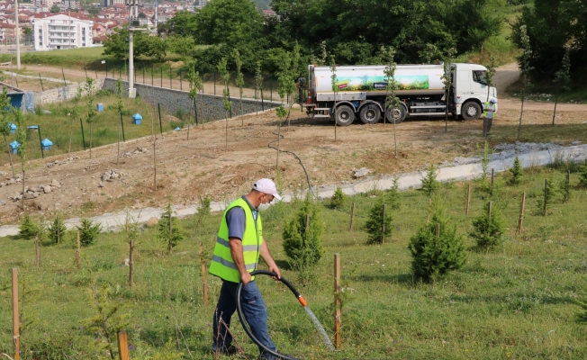 Yeni arazözler ile ağaçlar susuz kalmayacak