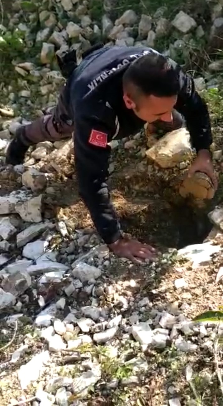 Darıca'da kuyuya düşen kaplumbağaları Büyükşehir güvenliği kurtardı