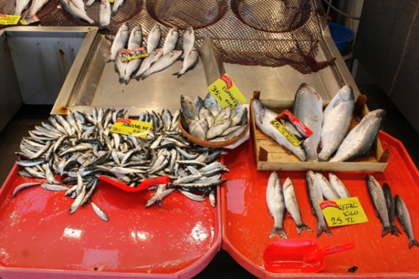 Kocaeli'de balık fiyatları zirveye koşuyor
