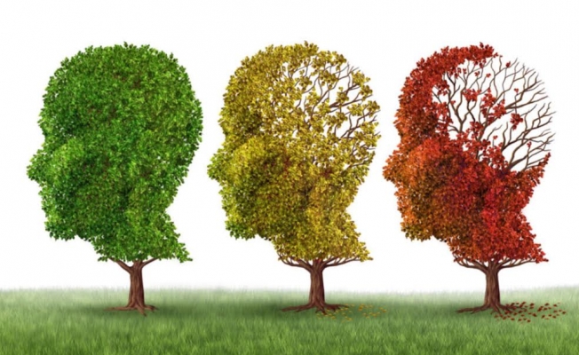 Demans ve Alzheimer Arasındaki Farklar Nelerdir?