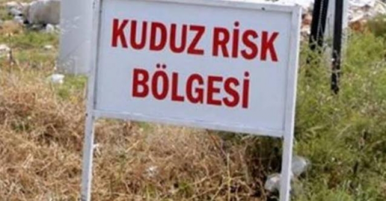 Kuduzdan Korunmak İçin Neler Yapılmalı?
