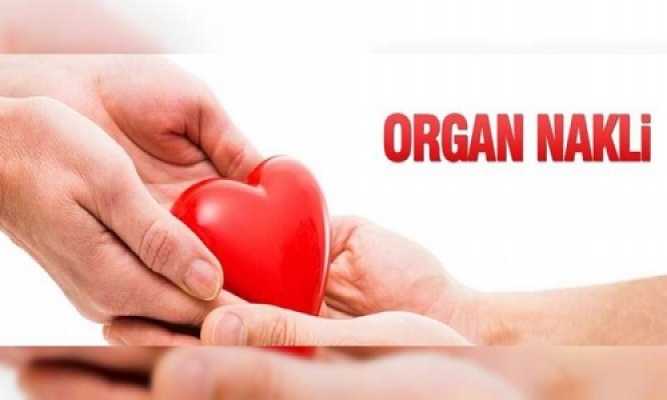 Organ Naklinde, Organ Kayıplarını Azaltmak Mümkün