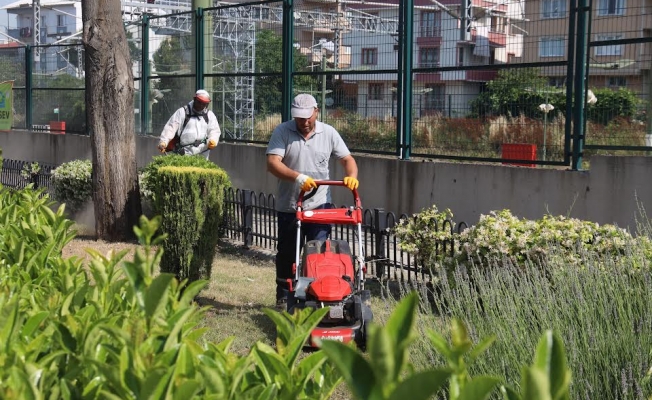 Darıca bayrama hazır