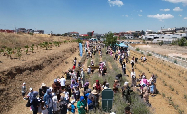 Çayırovalılar, lavanta hasadında bir araya geldi