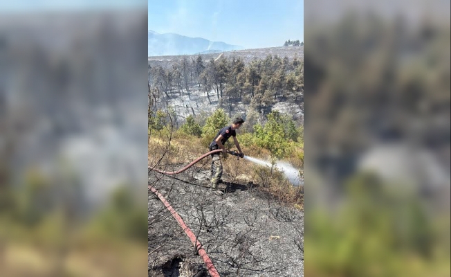 Kocaeli itfaiyesi Bursa'ya desteğe koştu