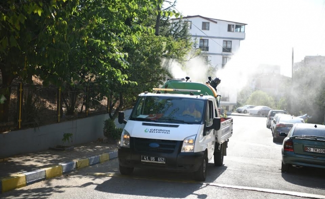 Vektörle mücadele aralıksız devam ediyor