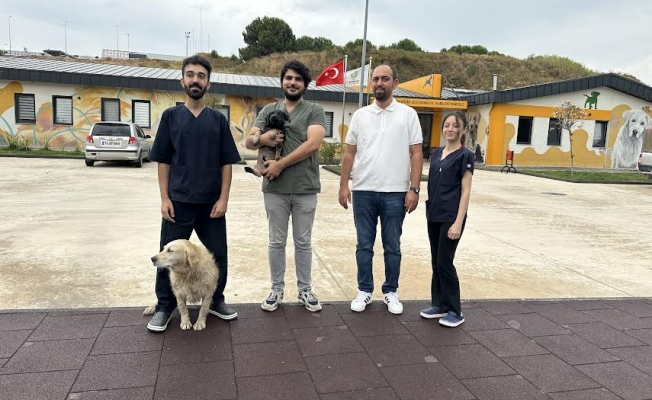 Zifte bulanmıştı, rehabilitasyon merkezinde yaşama tutundu