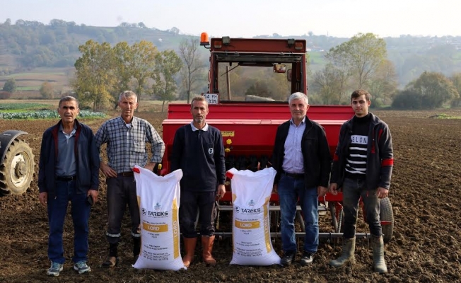 Büyükşehir'in hibeli tohumları toprakla buluştu