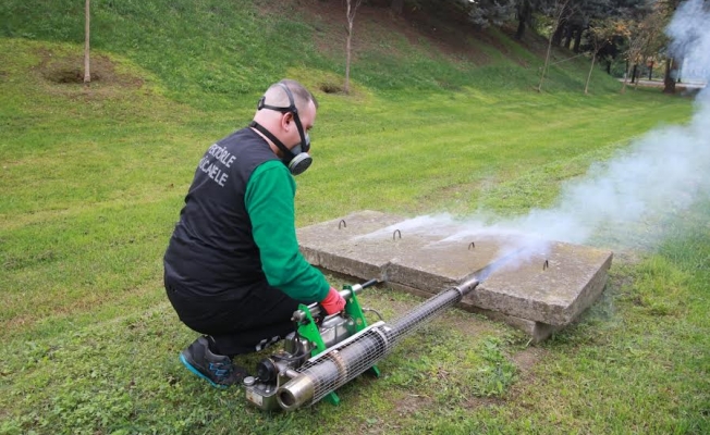 Sinekle mücadele sonbaharda da hız kesmiyor