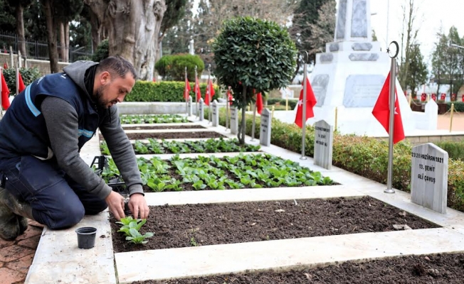 Büyükşehir'den şehitlerin emanetine özenli bakım