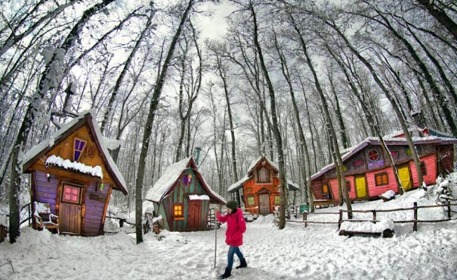 Ormanya'da kartpostallık kış manzaraları