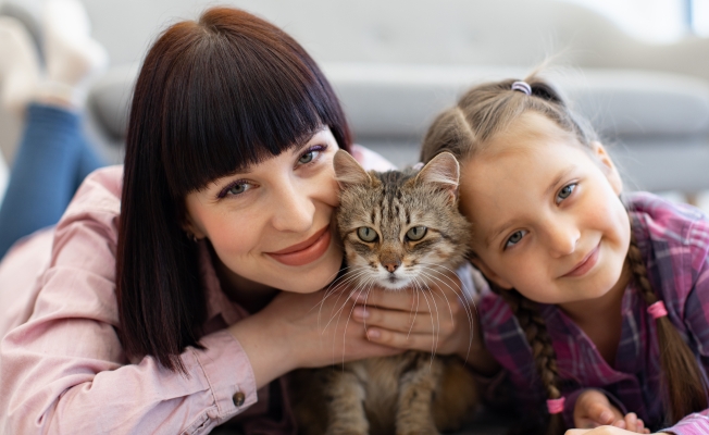 Dünyada 600 milyondan fazla, Türkiyede ise yaklaşık 10 milyon kedi insanlarla birlikte yaşıyor.