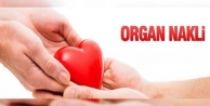 Organ Naklinde, Organ Kayıplarını Azaltmak...
