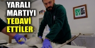 Yaralı martıyı tedavi ettiler