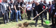 İzmit Belediyesinin katkılarıyla Prof. Dr. Ümit Özdağ Hatıra Ormanı açıldı