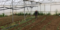 Kocaeli’nde tarım büyüyor, seracılık gelişiyor