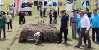 Vali Aktaş, Geleneksel 17. Turna ve tatlısu levreği tutma festivali’ne katıldı.