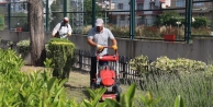 Darıca bayrama hazır
