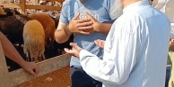 Kumpas yalnızca belediyeye değil, alın teriyle geçinen esnafa da kuruldu!
