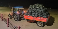 Sahiller temiz, tatilciler memnun
