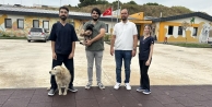 Zifte bulanmıştı, rehabilitasyon merkezinde yaşama tutundu