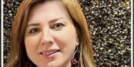 Gebze Mimarlar odasında Nur Aydoğdu adaylığını ilan ediyor