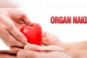 Organ Naklinde, Organ Kayıplarını Azaltmak Mümkün