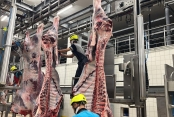 Sakatatları açık halde çöpe atmayın