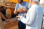 Kumpas yalnızca belediyeye değil, alın teriyle geçinen esnafa da kuruldu!